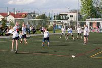 IMG 6563
